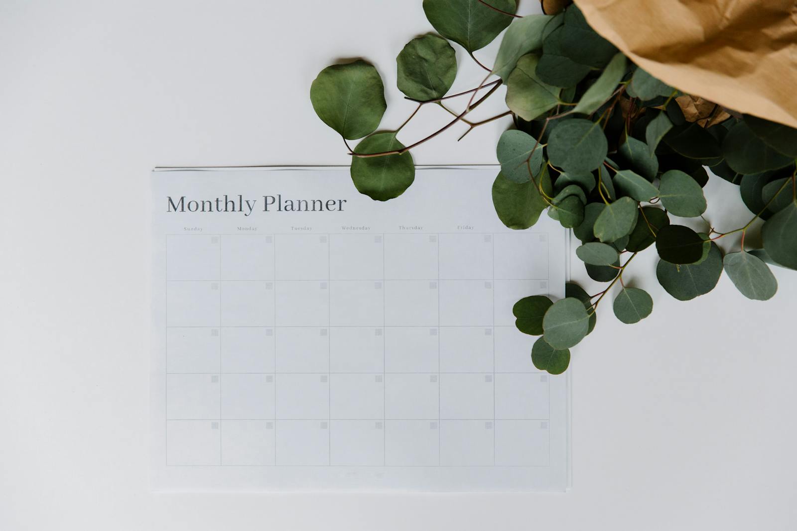 Monthly planner with eucalyptus leaves on a white background