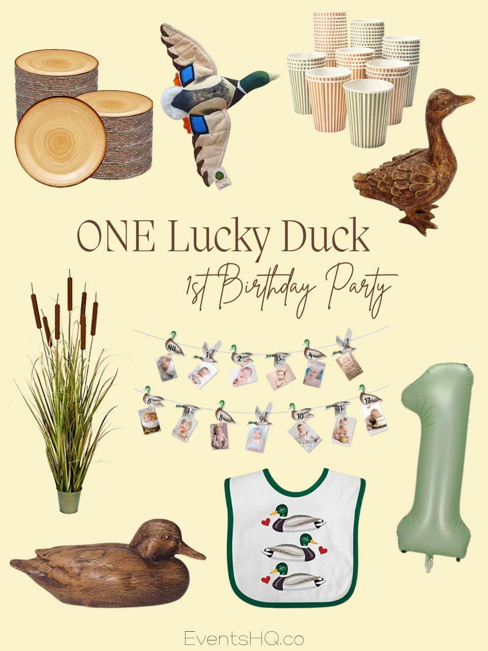 ONE Lucky Duck 1st birthday theme