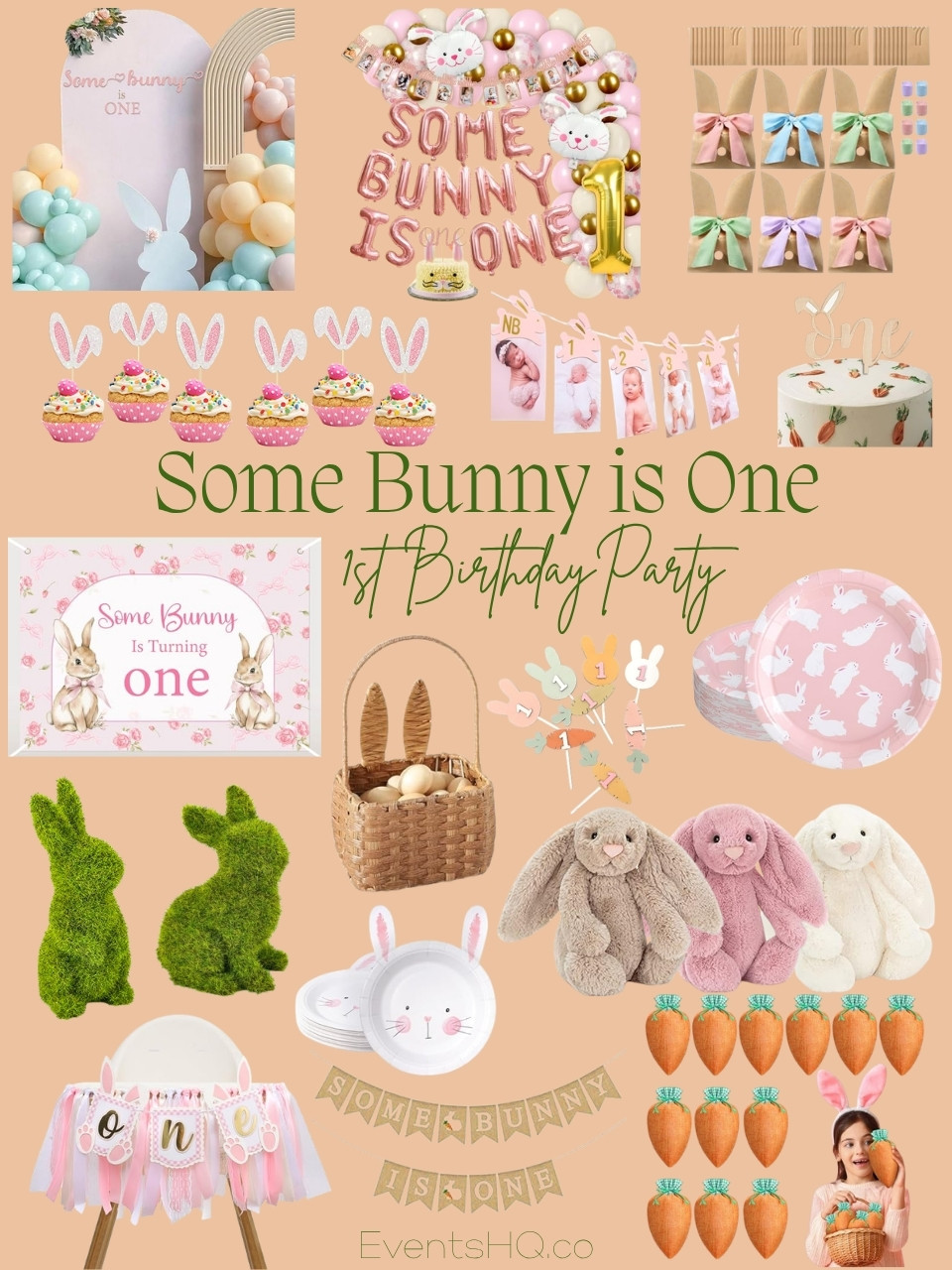 Some Bunny Is One 1st birthday theme