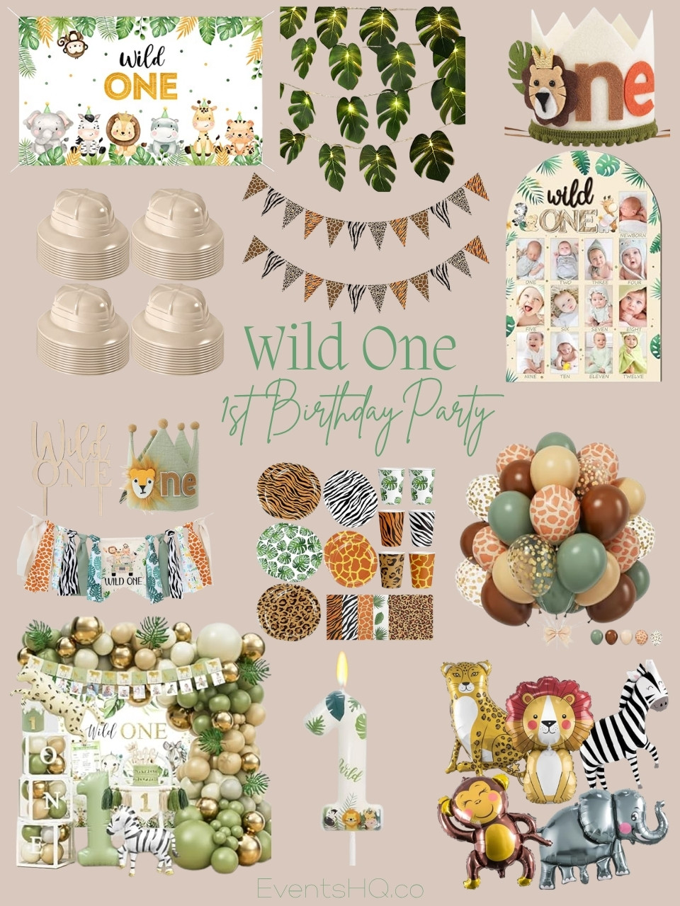 Wild One 1st birthday theme