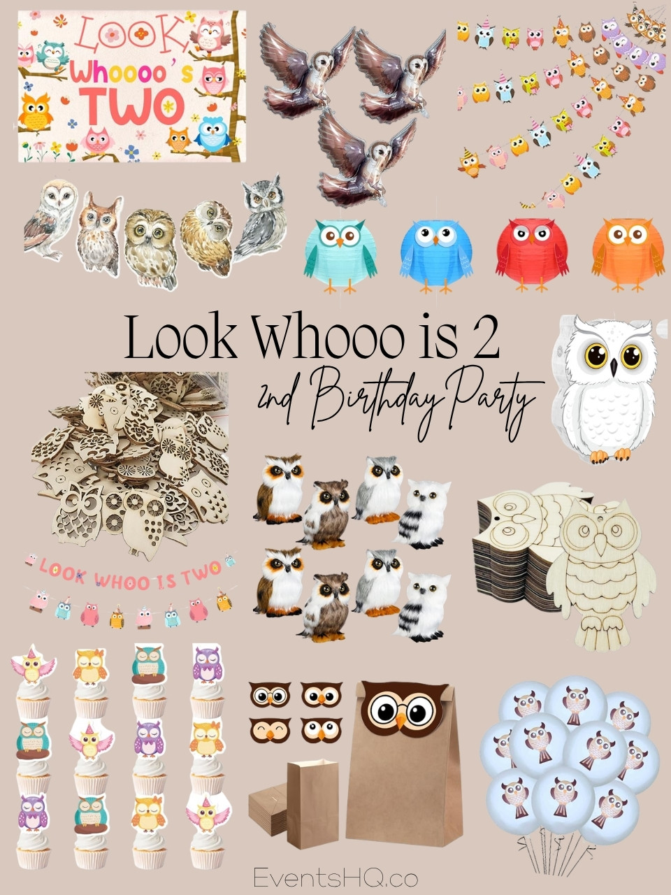 Look Whooo Is 2 kids birthday theme