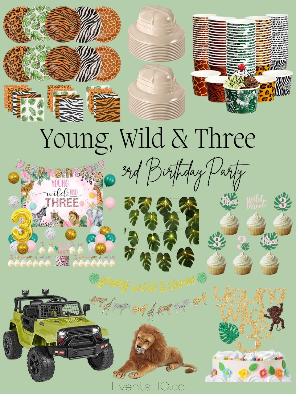 Young, Wild & Three kids birthday theme