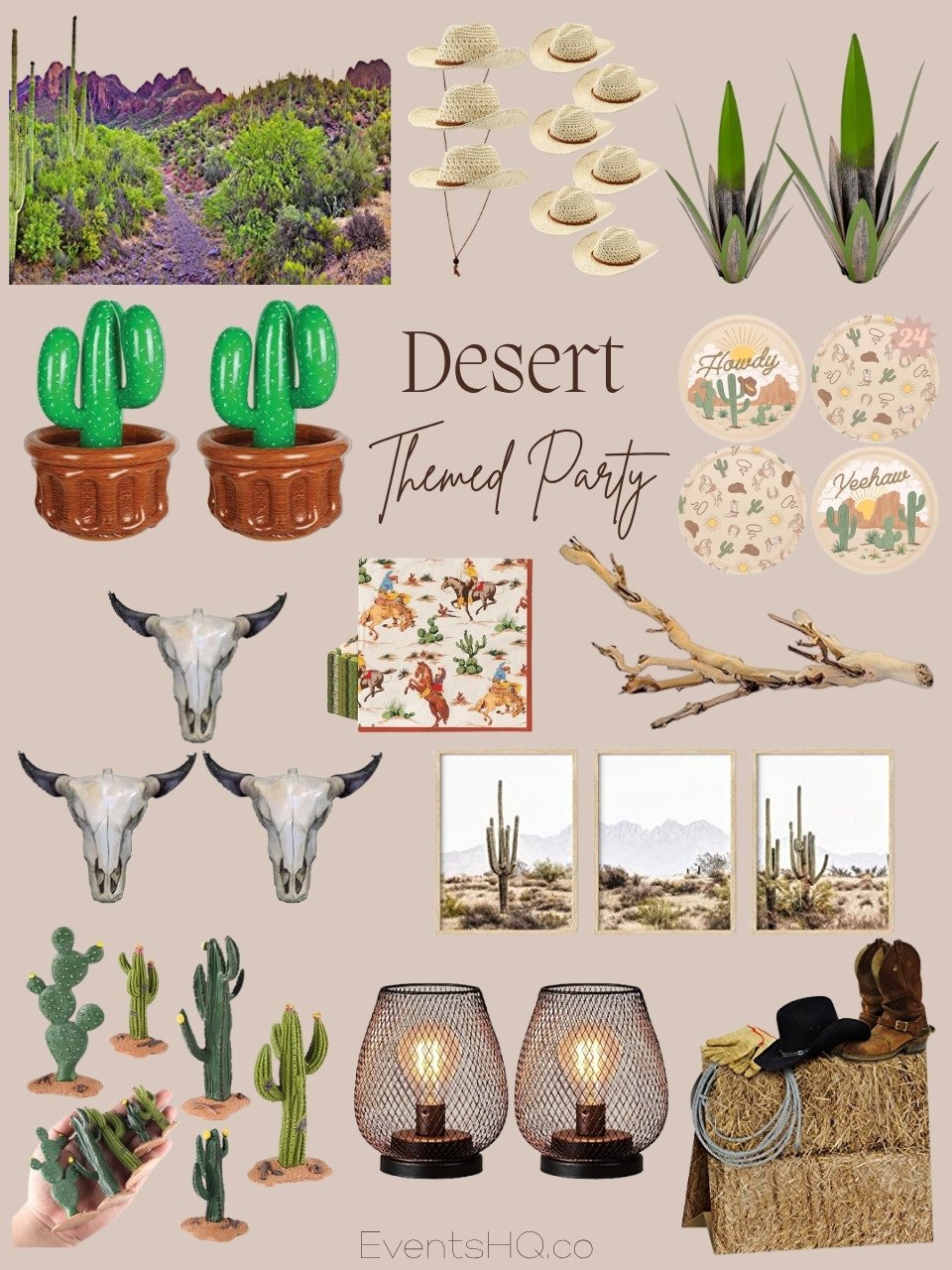 Desert themed party theme
