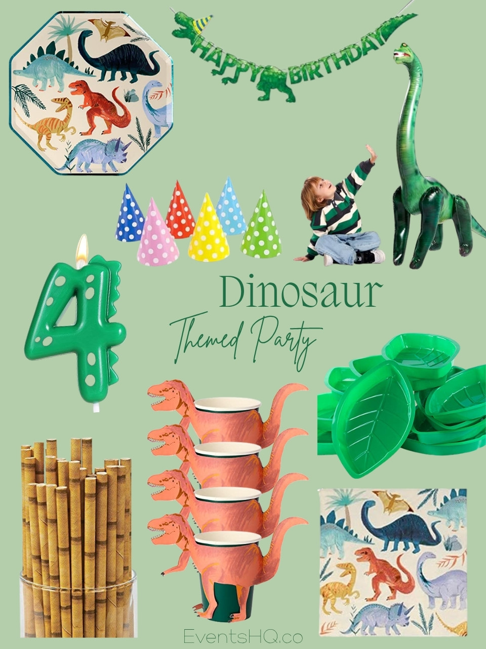 Dinosaurs themed party theme