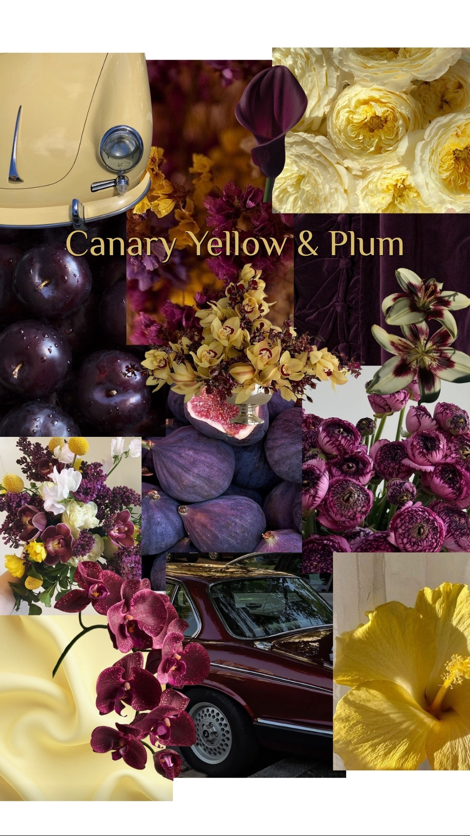 Canary Yellow and Plum wedding theme